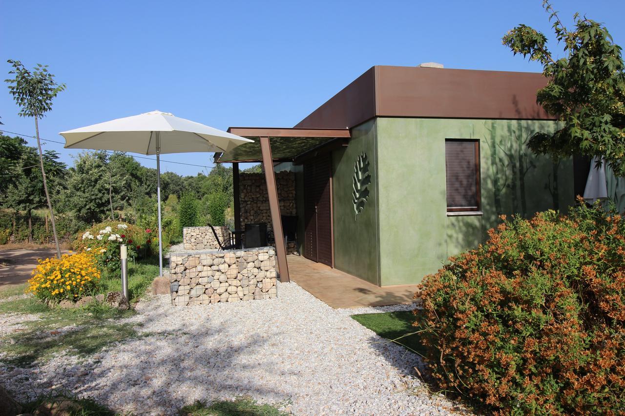 Veragua. Glamping Y Apartamentos Turisticos Villanueva De La Vera Exteriör bild