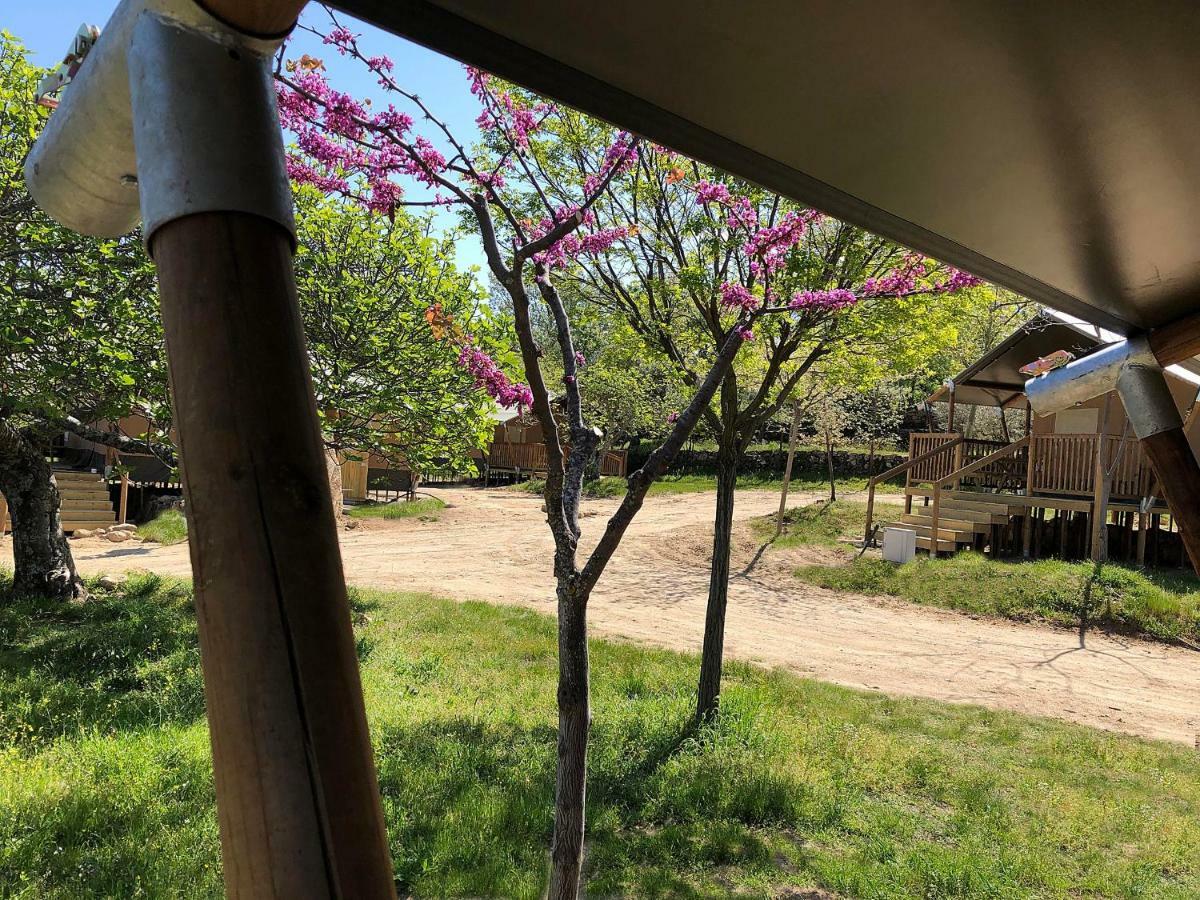Veragua. Glamping Y Apartamentos Turisticos Villanueva De La Vera Exteriör bild